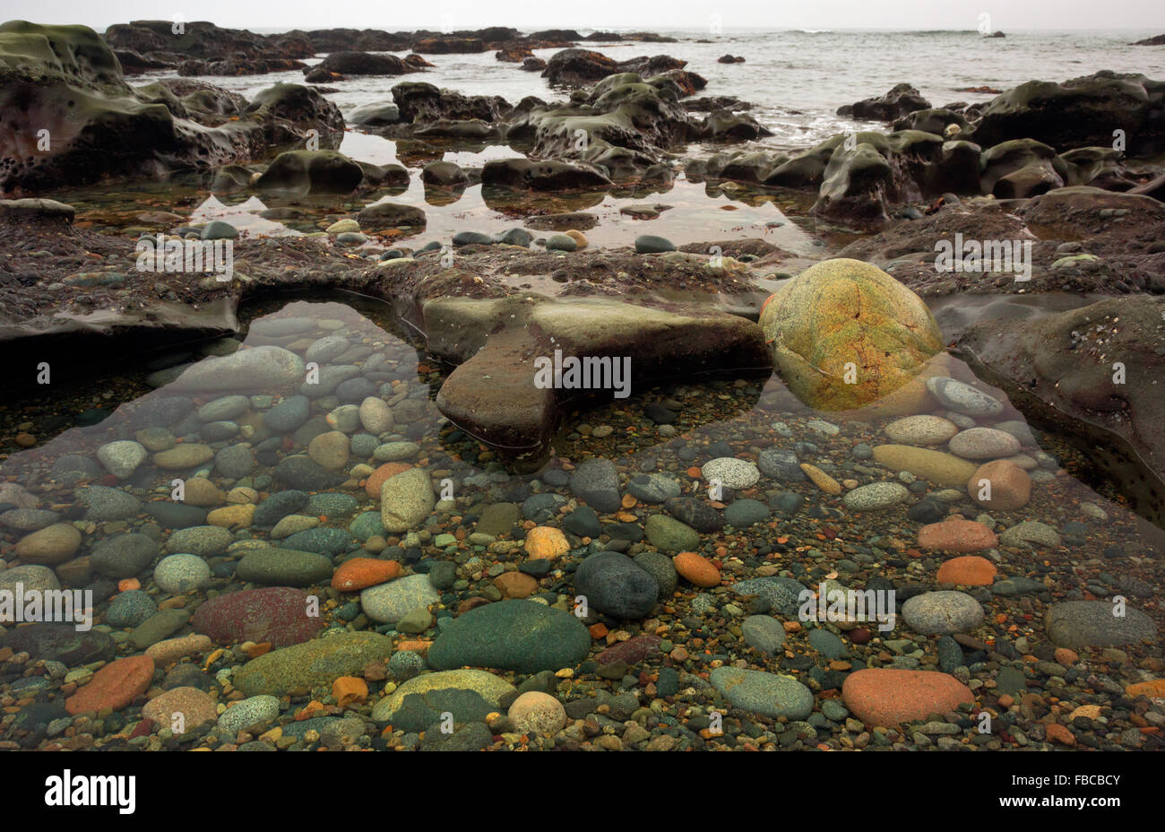 BRITISH COLUMBIA - rocce colorate in zona intercotidale di spiaggia di Tsusiat camparea cade sull'Isola di Vancouver West Coast Foto Stock