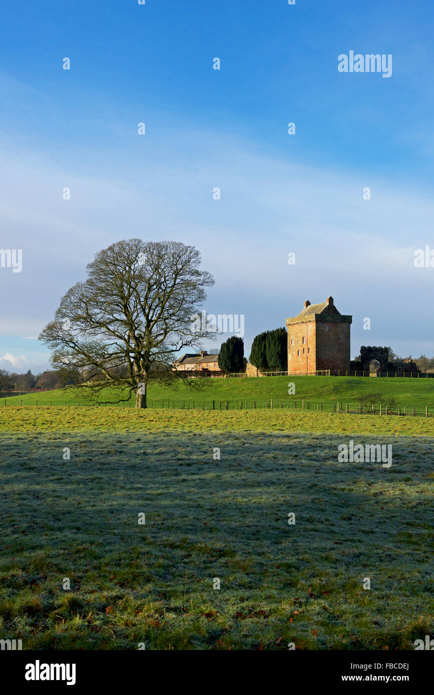 Torre Kirkandrews, casa fortificata a Kirkandrews-su-Esk, Cumbria, England Regno Unito Foto Stock