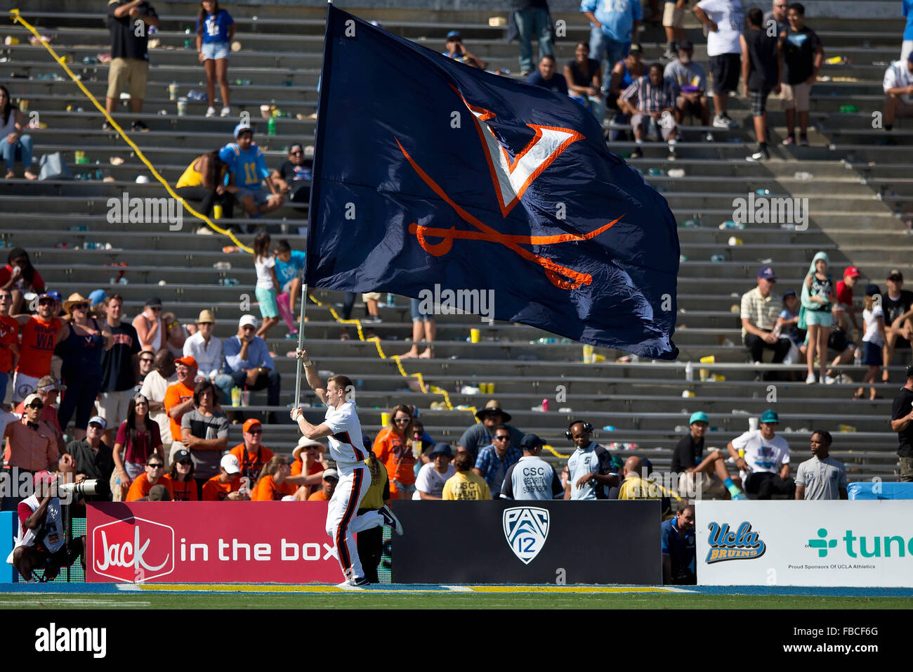 Un Virginia Cavaliers cheerleader sventola una bandiera dopo un touchdown contro la UCLA Bruins durante il quarto trimestre al Rose Foto Stock