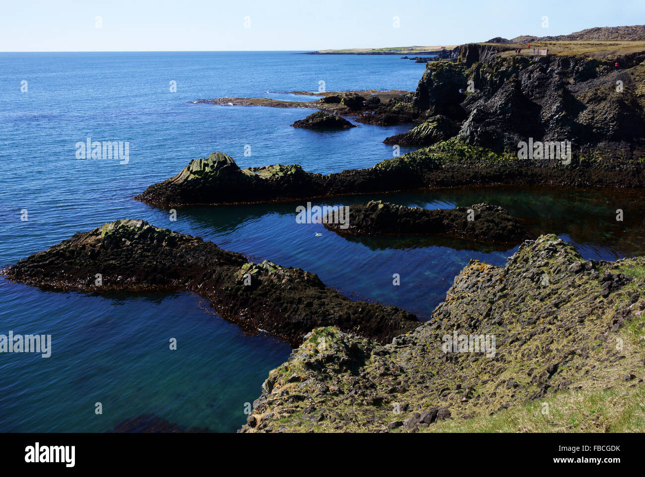 La costa e le scogliere di rocce basaltiche a Arnarstapi riserva naturale, Penisola Snaefellsness, Islanda Foto Stock