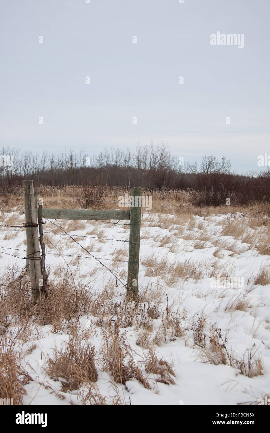 Outdoor paesaggio invernale con neve sul terreno Foto Stock