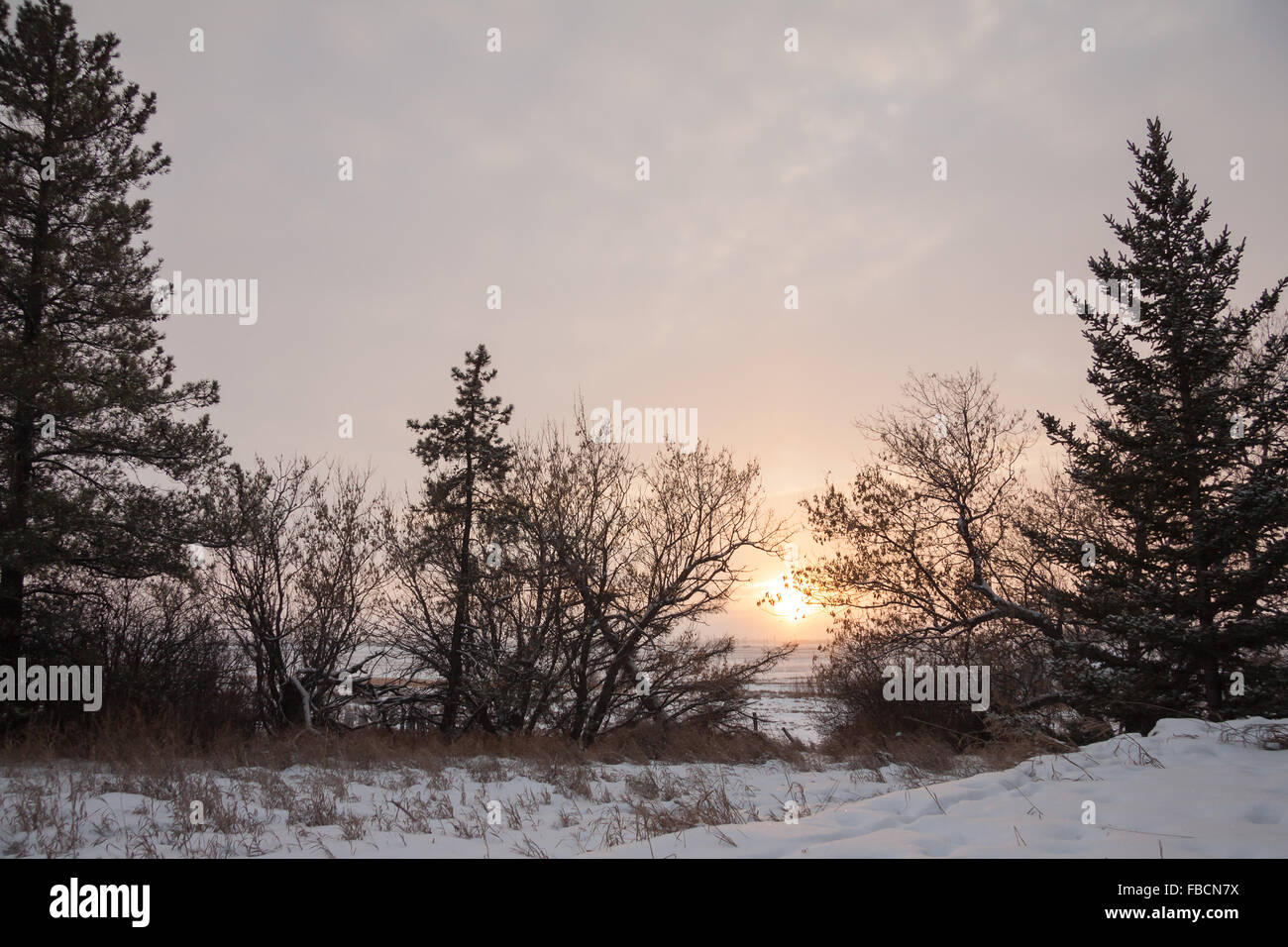 Outdoor paesaggio invernale con neve sul terreno Foto Stock