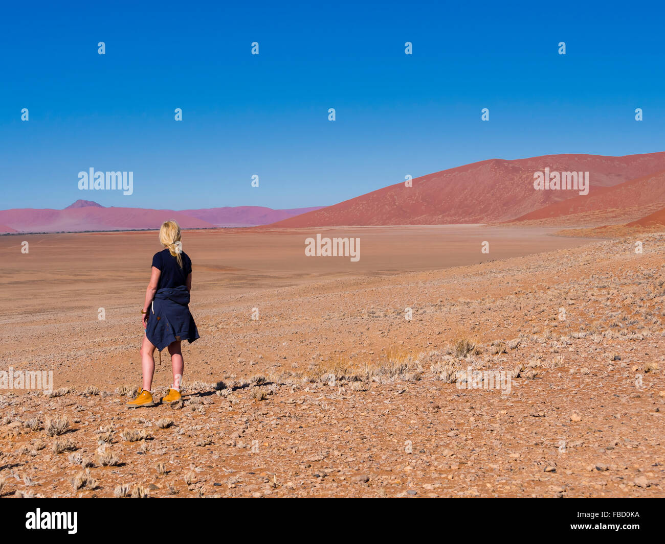 Donna in piedi nel deserto del Namib, guardando il paesaggio, Tsaris Mountains, Hammerstein, Sossosvlei Foto Stock