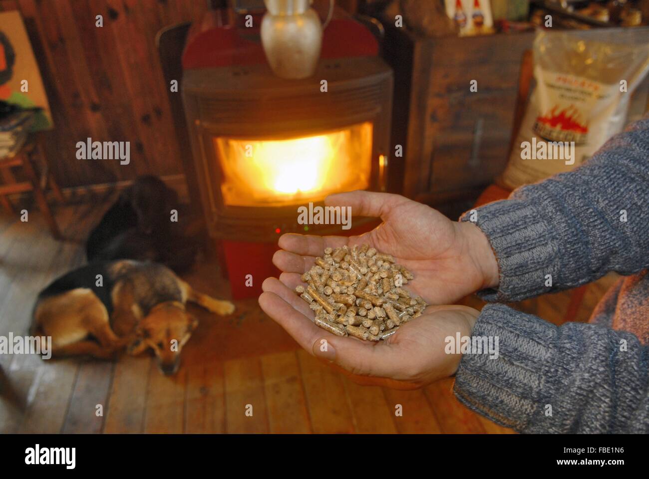 Stufa alimentati con pellet (carburanti ecologici derivanti da scarti di lavorazione del legno) Foto Stock