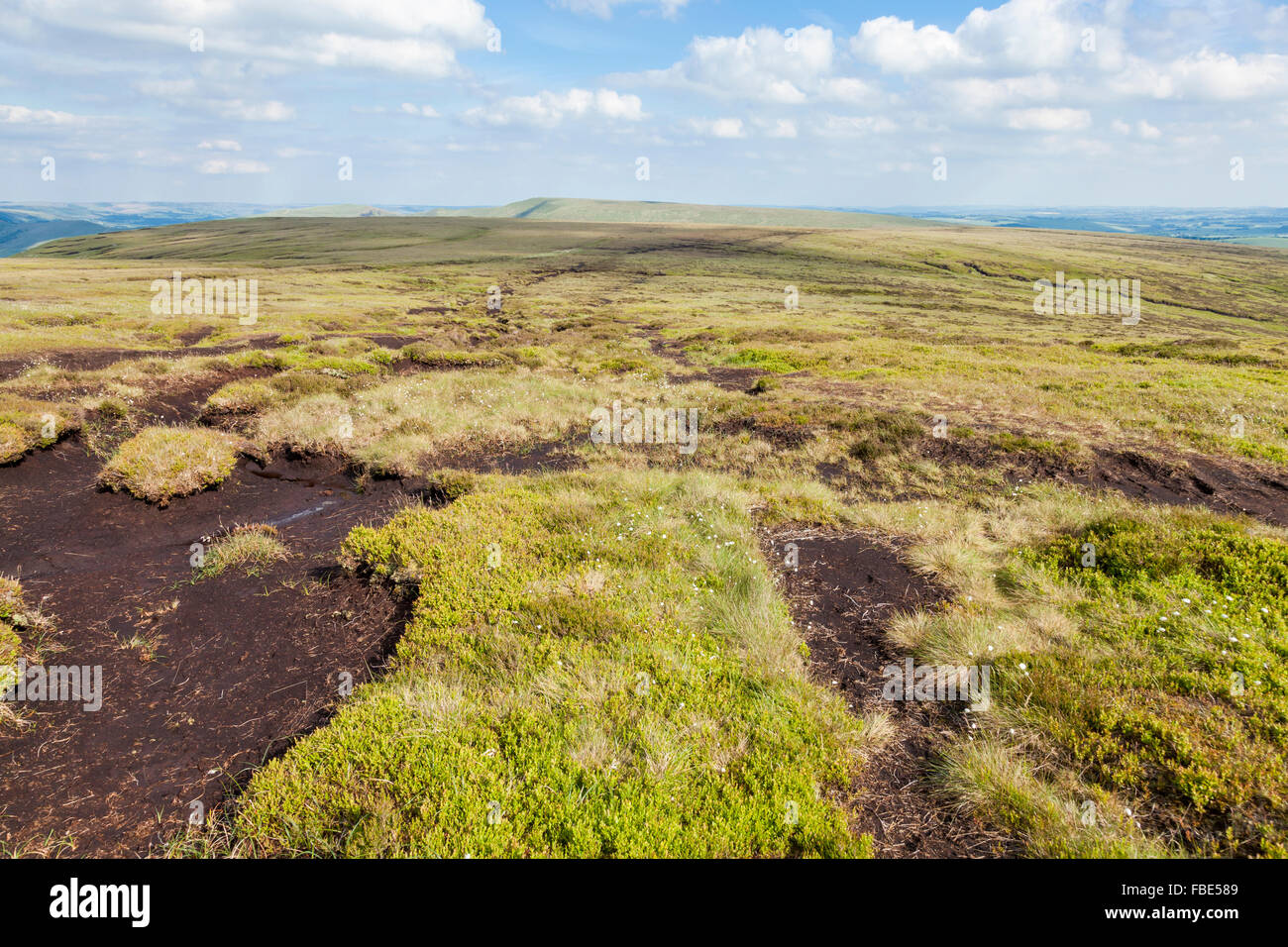La brughiera di torba o peatland a Colborne Moor, Derbyshire, Parco Nazionale di Peak District, England, Regno Unito Foto Stock