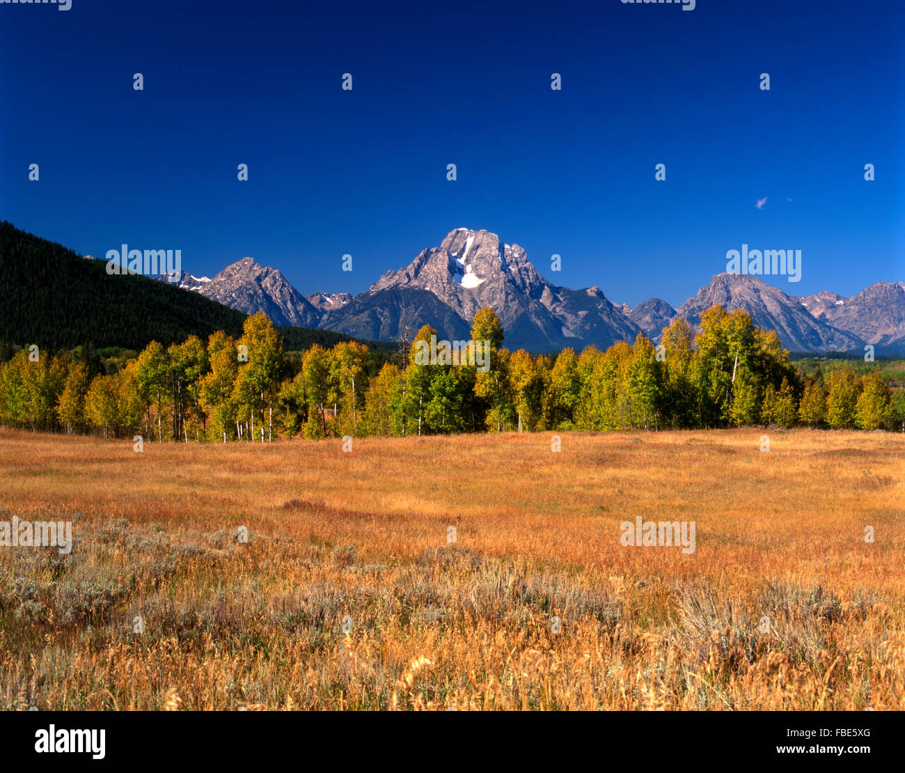Montare Moran nell'autunno del Grand Teton National Park Wyoming USA Foto Stock