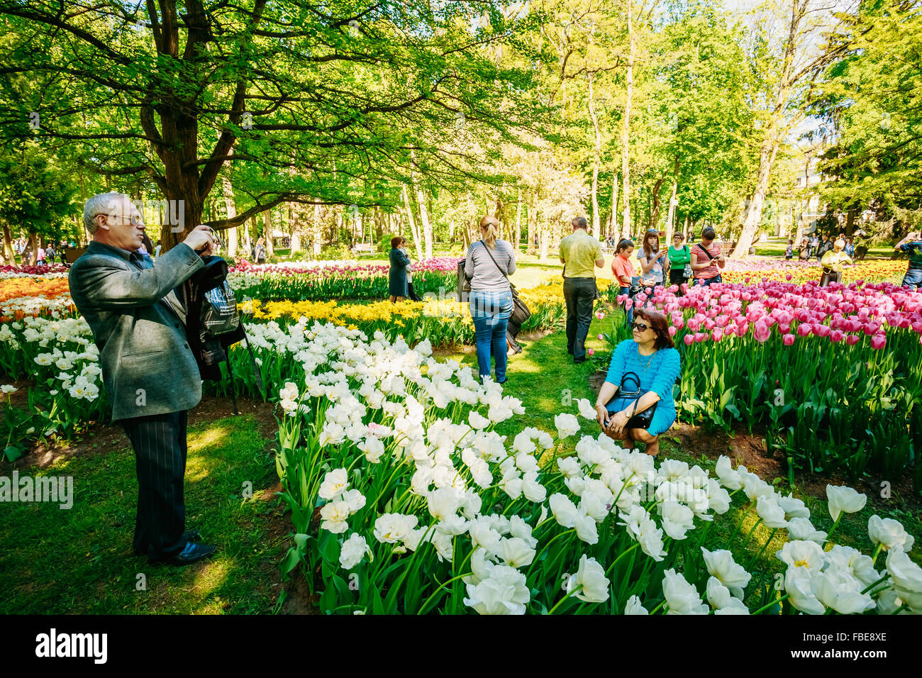 GOMEL, Bielorussia - 9 Maggio 2014: le persone non identificate sono fotografati su uno sfondo di fiori di primavera nel parco della città. Foto Stock