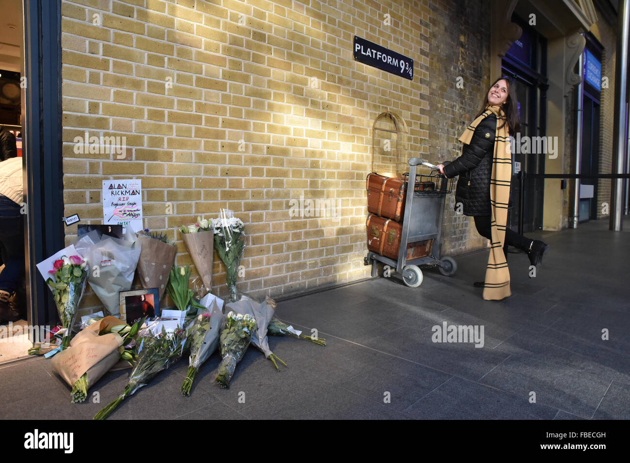 Kings Cross, London, Regno Unito. Il 15 gennaio 2016. Alan Rickman: omaggi a sinistra per il ritardo di attore a Harry Potter, piattaforma 9 3/4 Foto Stock