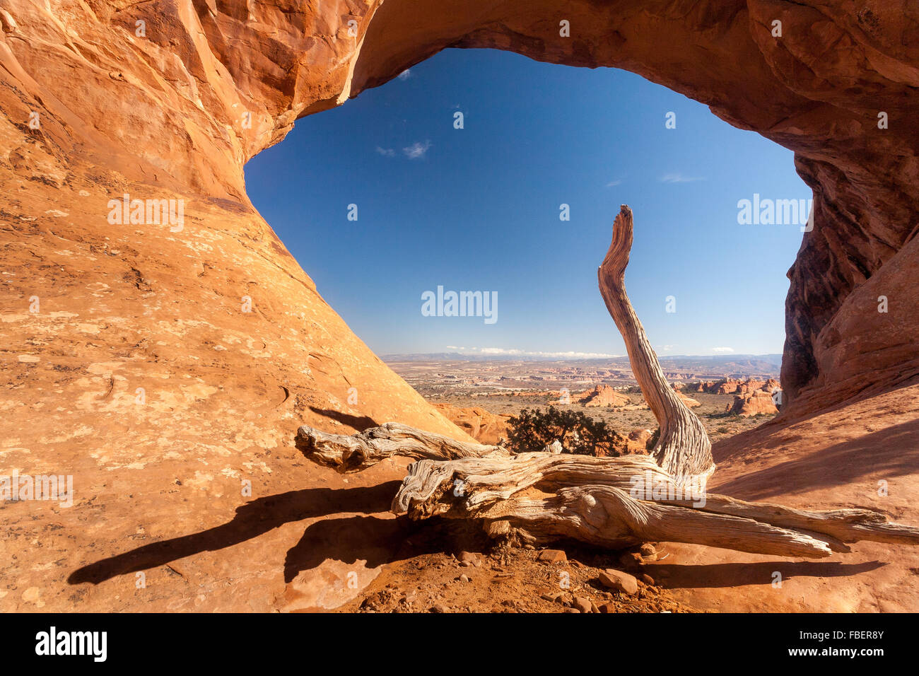 Un registro essiccato riposa nella parte anteriore del passaruota della partizione in Arches National Park nello Utah. Foto Stock