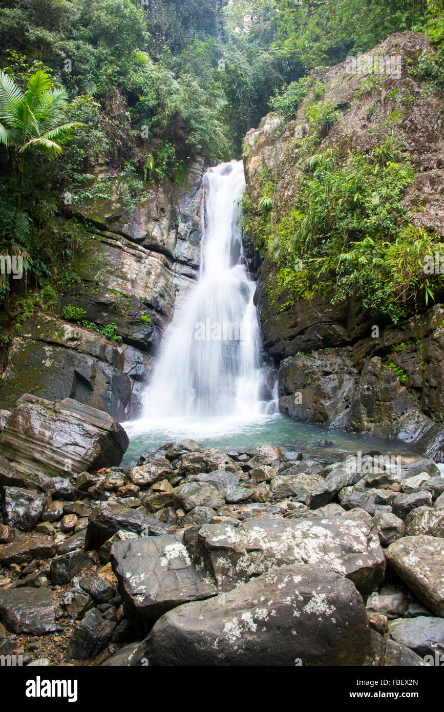 El Yunque cascata nella foresta pluviale Foto Stock