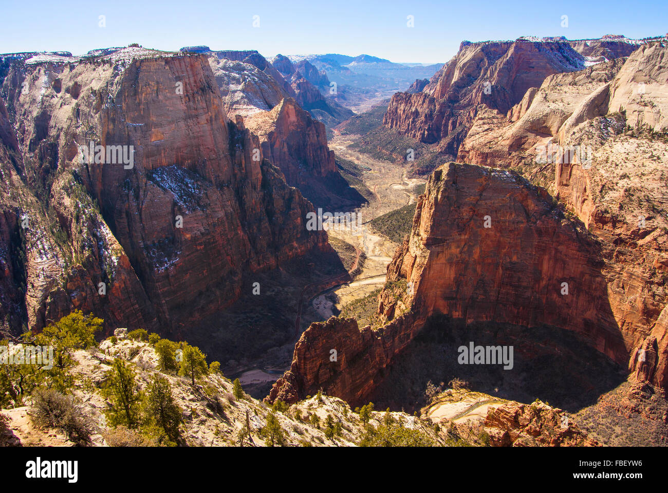 Vista del Canyon, il Parco Nazionale di Zion Foto Stock