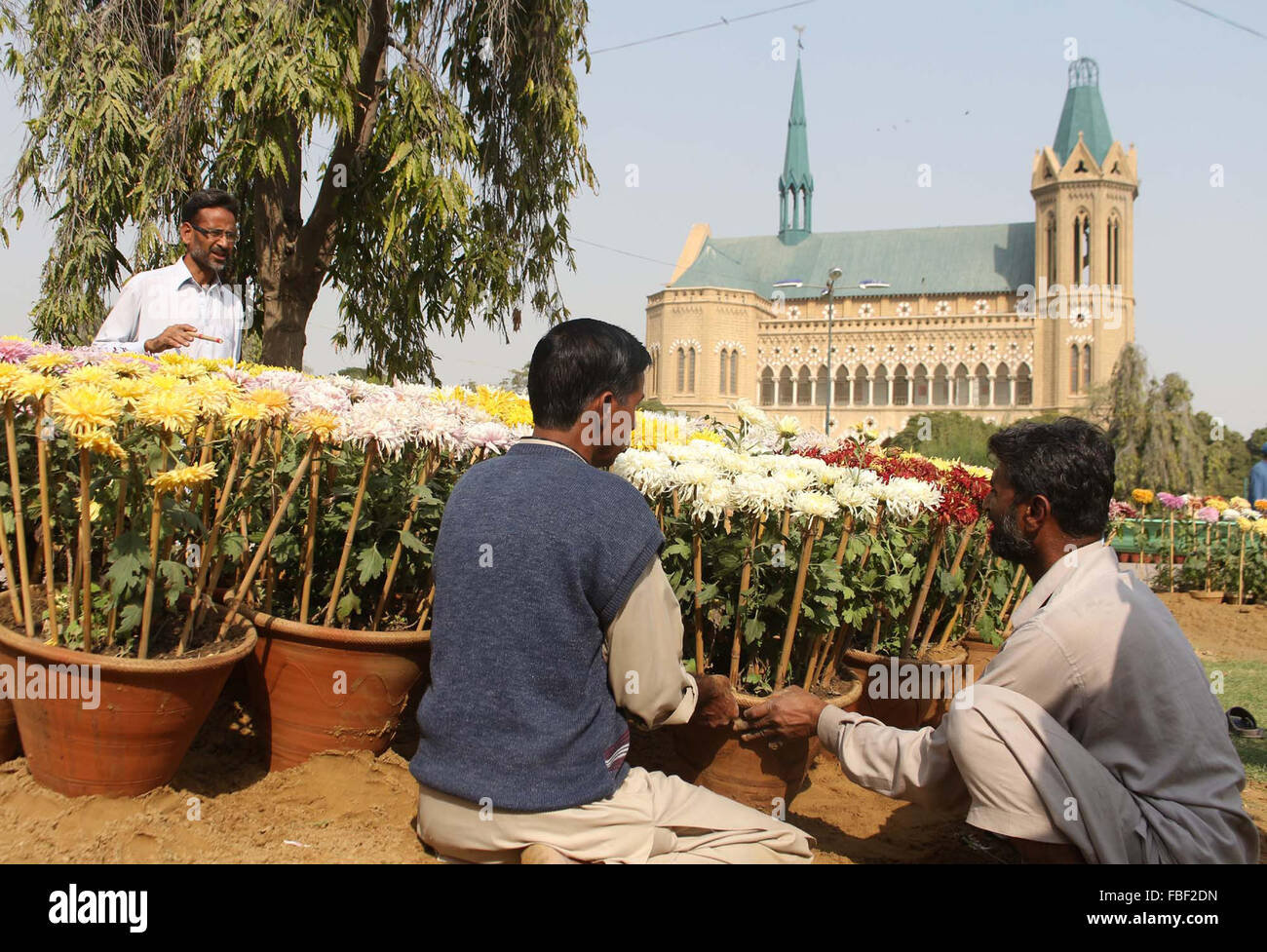 Giardiniere disponendo dei POT del fiore per attirare i visitatori durante la mostra floreale organizzato da Karachi Metropolitan Corporation detenuta a Ferrier Hall il Venerdì, 15 gennaio 2016. Foto Stock