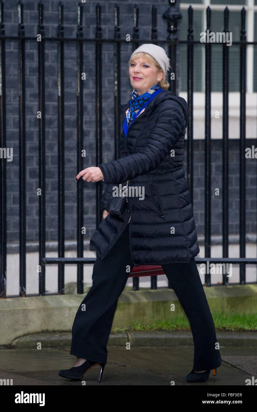 Membri del gabinetto arrivano e partono dal cabinet settimanale riunione a 10 Downing Street. Dotato di: Anna Soubry MP, Ministro per le piccole aziende, dell'industria e delle imprese dove: Londra, Regno Unito quando: 15 Dic 2015 Foto Stock