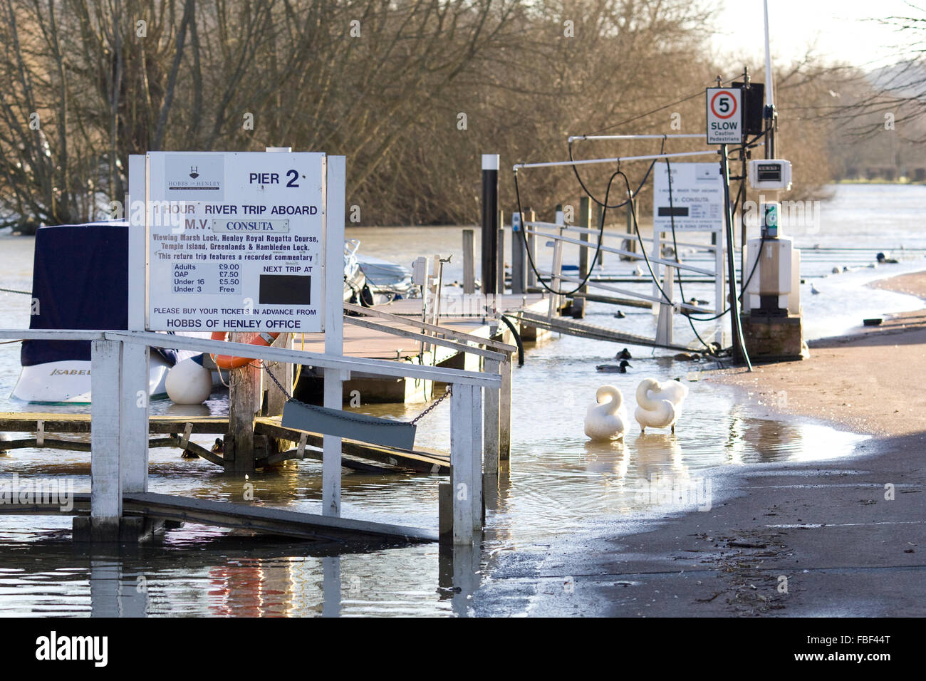 Le acque di esondazione salendo sulle rive del fiume Tamigi Henley Foto Stock