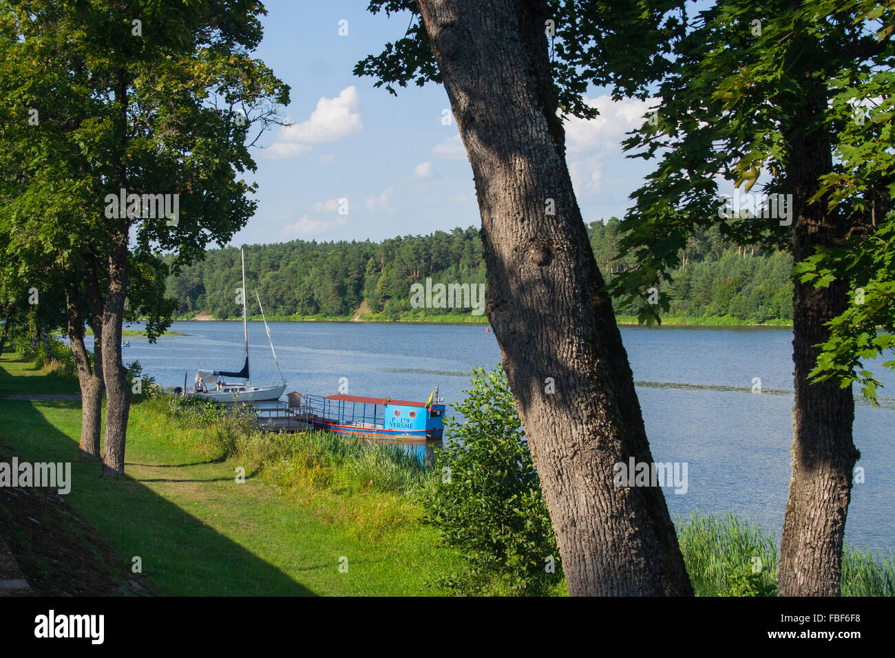 Alberi sulla riva destra del fiume Nemunas, Birstonas, Lituania Foto Stock