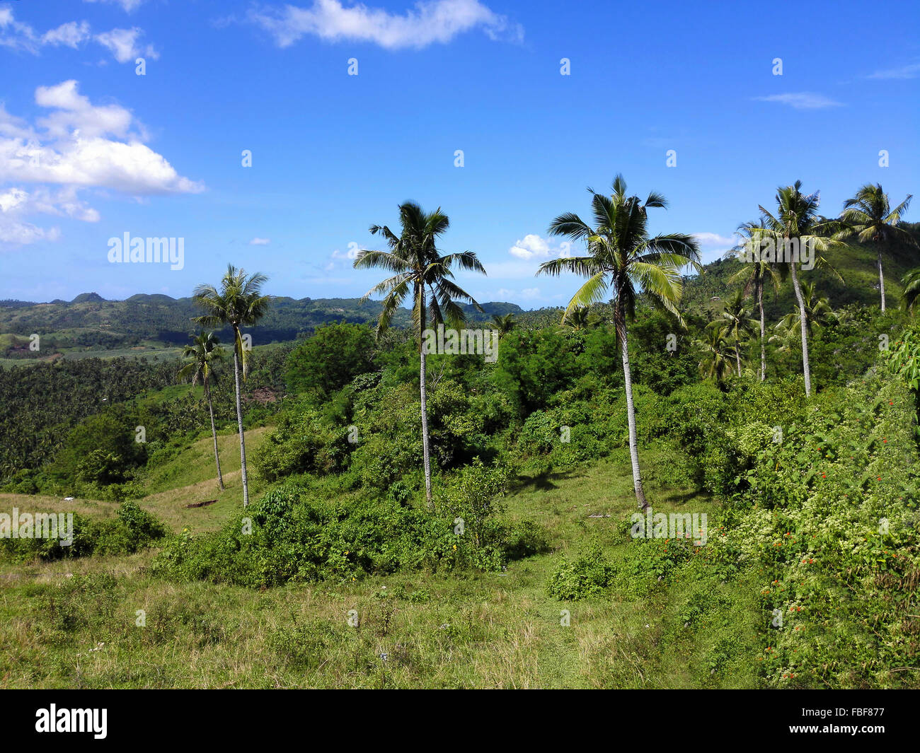 Filippine Leyte generale scenario di montagna Adrian Baker Foto Stock