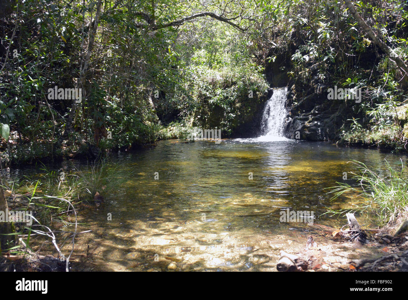 Caduta di acqua ad alto Paraiso de Goias Chapada dos Veadeiros Stato di Goias, Brasile Foto Stock