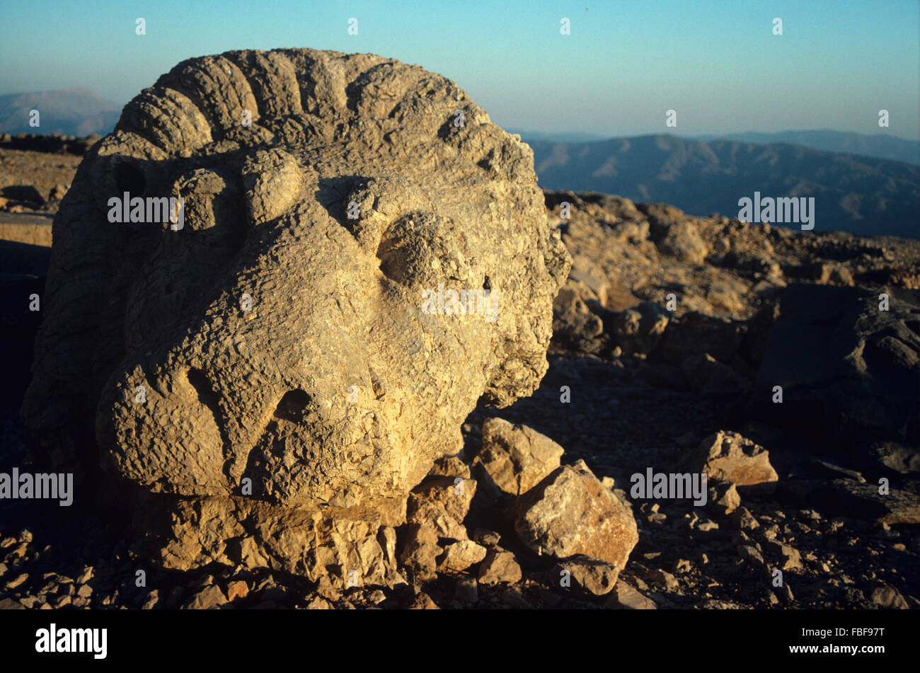 Antica antica scultura Lion sulla terrazza est di Nemrut Daghia, Nemrut Dagi, monte Nemrut o Nemrud (1BC), una montagna sacra e la tomba reale o tomba Santuario a Kahta, vicino Adiyaman, Turchia. Eventualmente Temple-tomba o tumulo di Re Antichus 1. Foto Stock