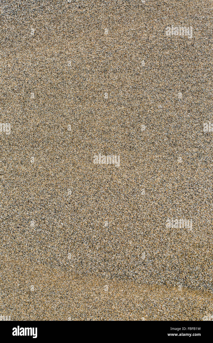 Sabbia presso la linea costiera. Foto Stock