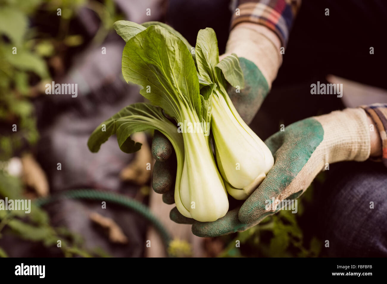 Uomo di contenimento e mostra di verdura Foto Stock