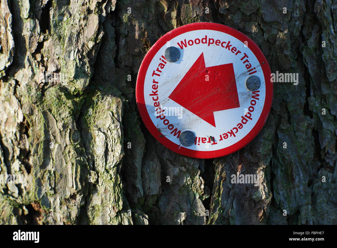 Pittoresco paese a piedi la segnaletica tacked al tronco di albero Foto Stock