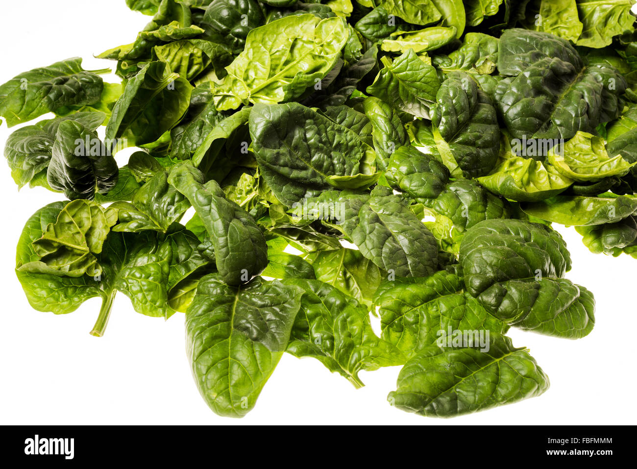 Italiano di foglie di spinaci, appena raccolto singolo lascia cuocere insalata verde di cottura alimenti greenfood spinat veggi ortaggi freschi Foto Stock