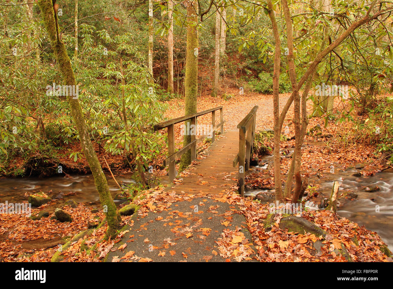 Small foot Bridge Foto Stock