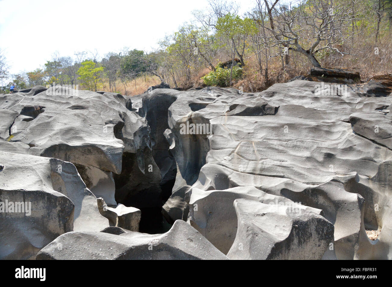 Paesaggio primitivo,Chapada dos Veadeiros, Brasile, cerrado, flora geologia, geología,Goiás,acqua non vale da lua Brasile Foto Stock