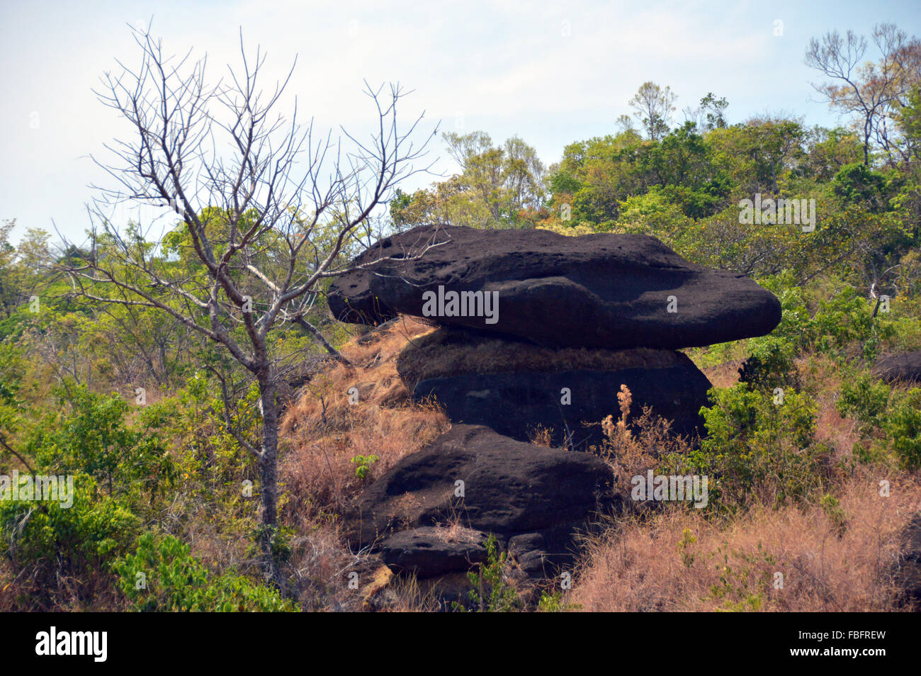 Paesaggio primitivo,Chapada dos Veadeiros, Brasile, cerrado, flora geologia, geología,Goiás,Vale da Lua Parque Nacional Brasile Foto Stock