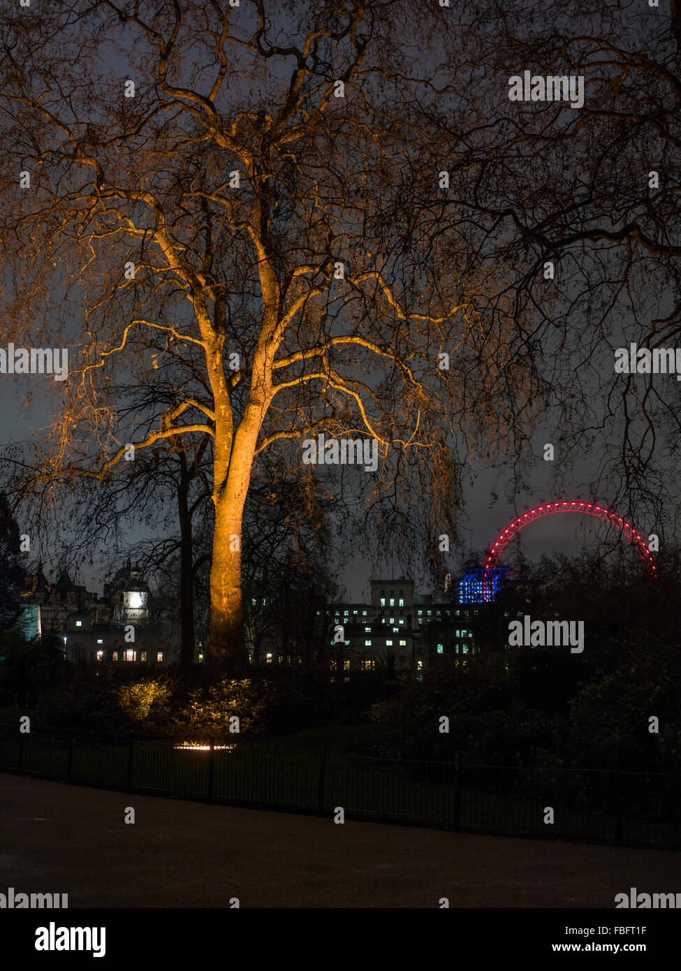 Un albero illuminato in St James Park nel centro di Londra con il London Eye e Horseguard's Parade in background Foto Stock