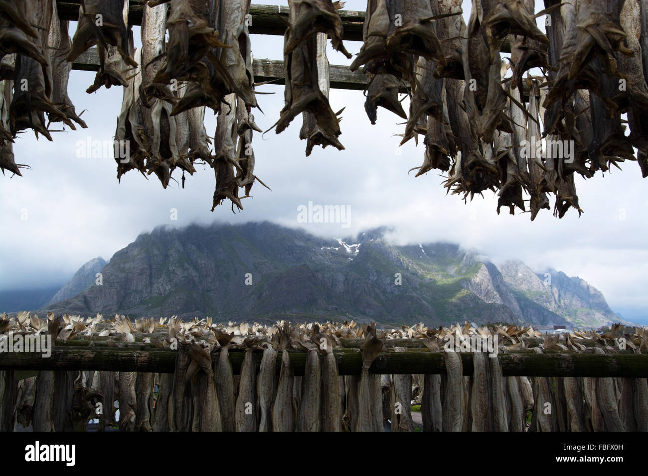 Henningsvaer è un villaggio di pescatori situato su numerose piccole isole al largo della costa meridionale di Austvagoya in Lofoten archipelag Foto Stock