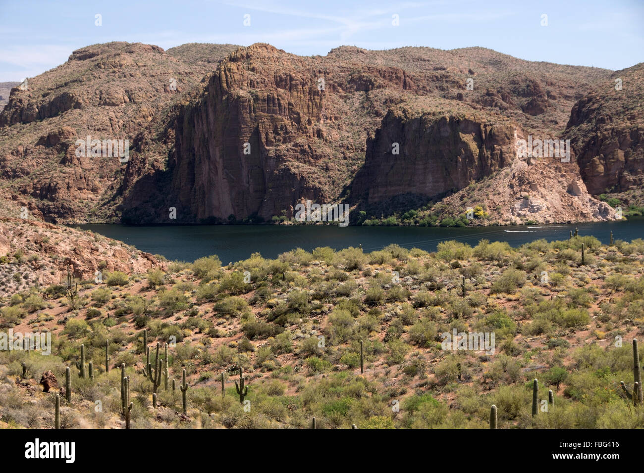 Theodore Roosevelt Lago in Arizona USA è un serbatoio di acqua che è riempita dal fiume di sale e Tonto Creek. Foto Stock