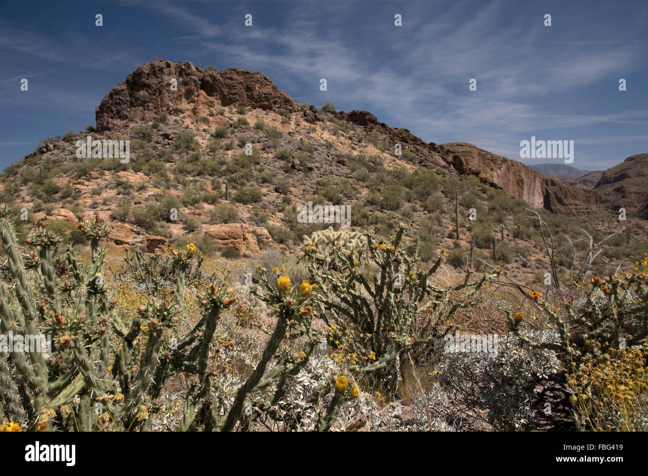 Theodore Roosevelt Lago in Arizona USA è un serbatoio di acqua che è riempita dal fiume di sale e Tonto Creek. Foto Stock