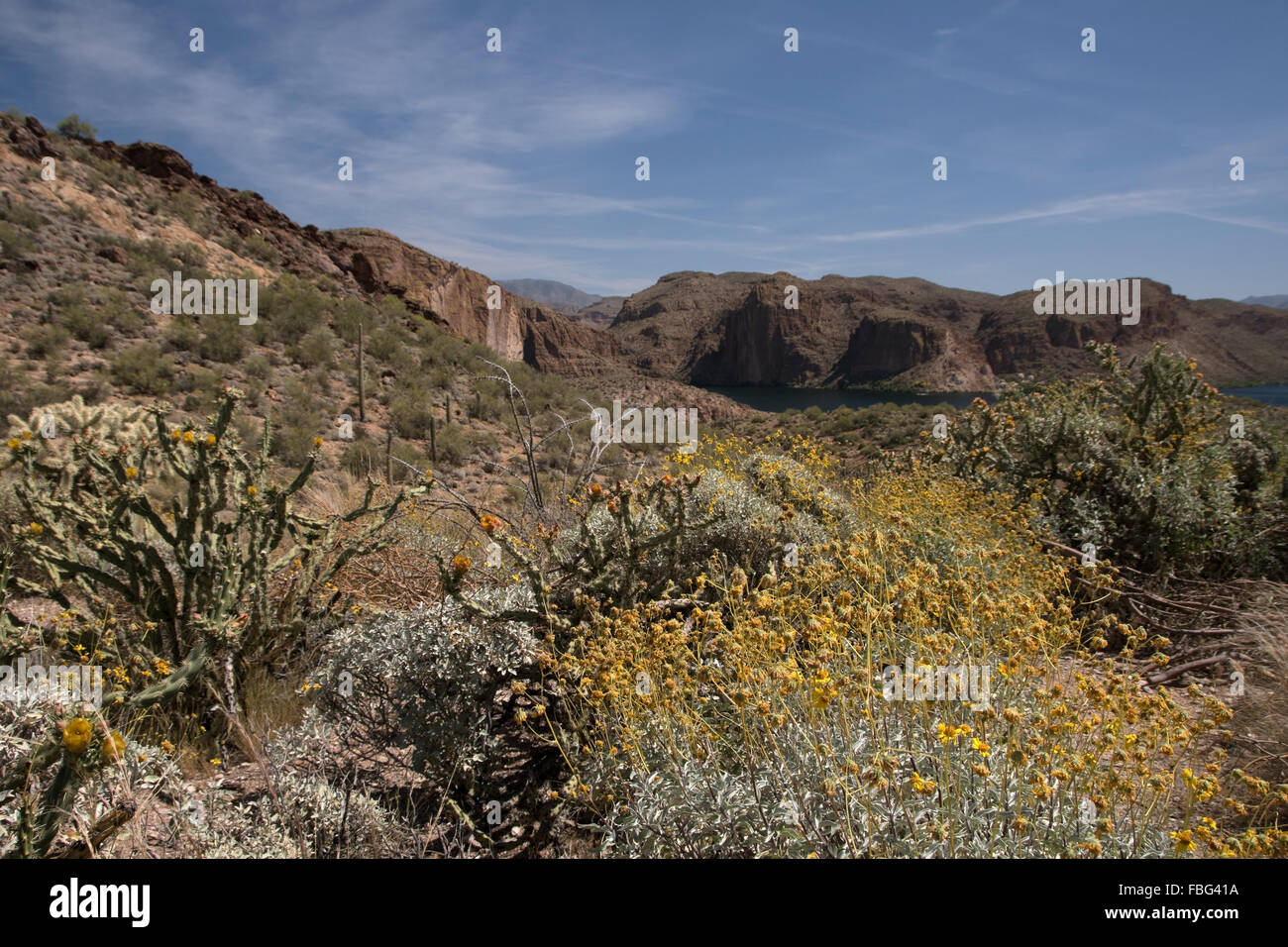 Theodore Roosevelt Lago in Arizona USA è un serbatoio di acqua che è riempita dal fiume di sale e Tonto Creek. Foto Stock