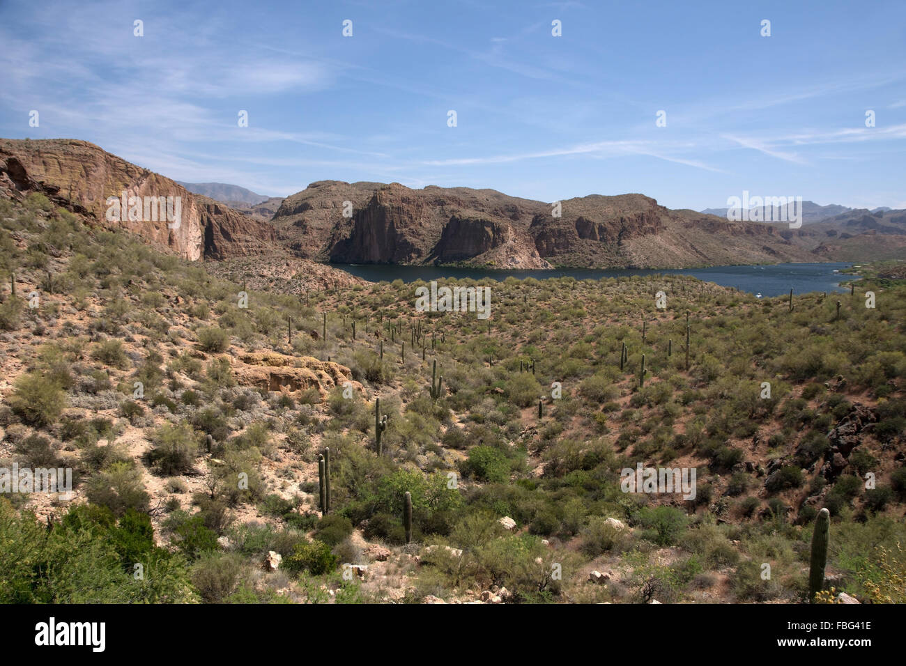 Theodore Roosevelt Lago in Arizona USA è un serbatoio di acqua che è riempita dal fiume di sale e Tonto Creek. Foto Stock