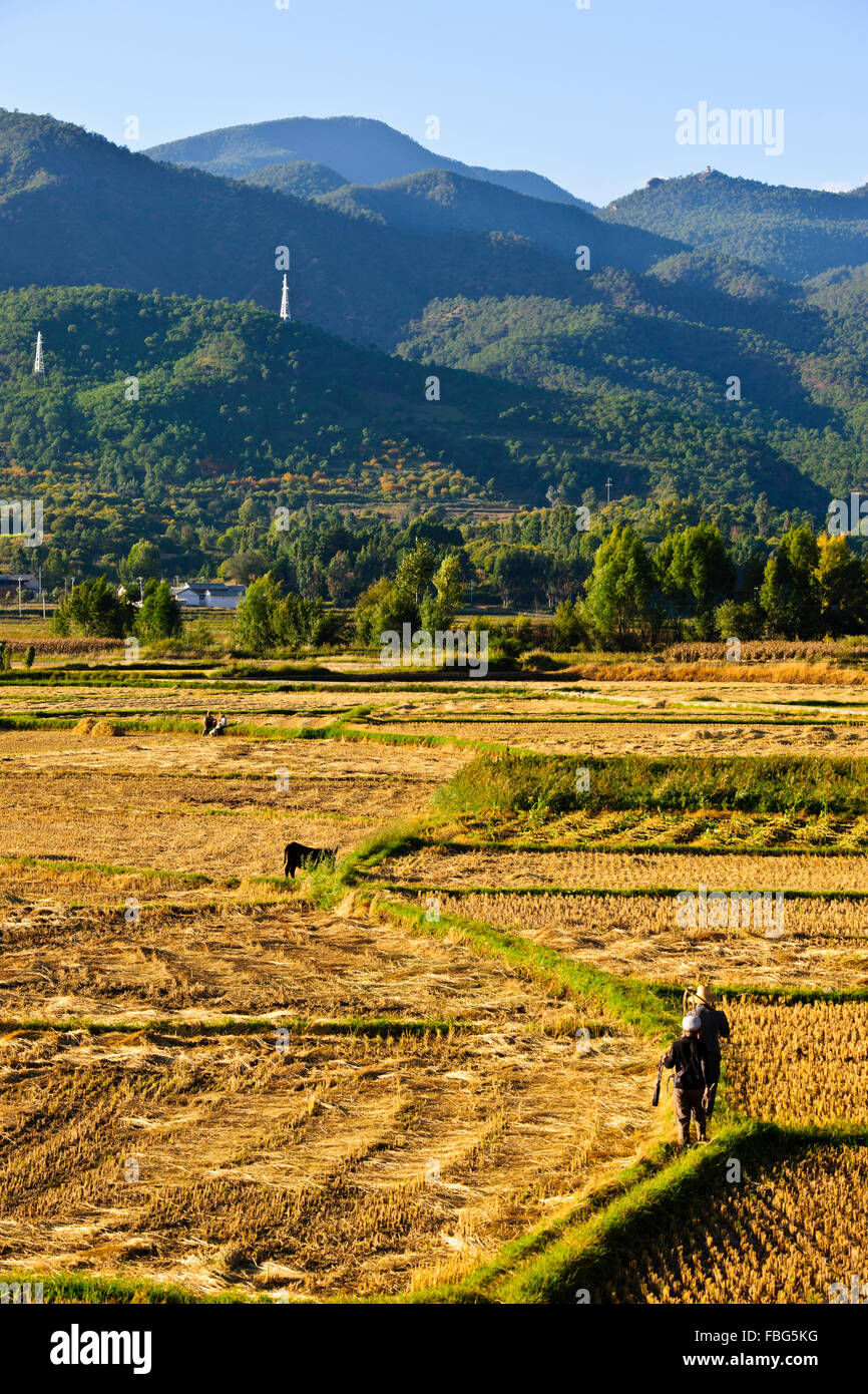 Teatro Antico Inn,Village,campagna circostante,Jiang Fiume,Duanjiadeng Village,Vicino città Shaxi,Jianchuan County,Yunnan,Cina Foto Stock