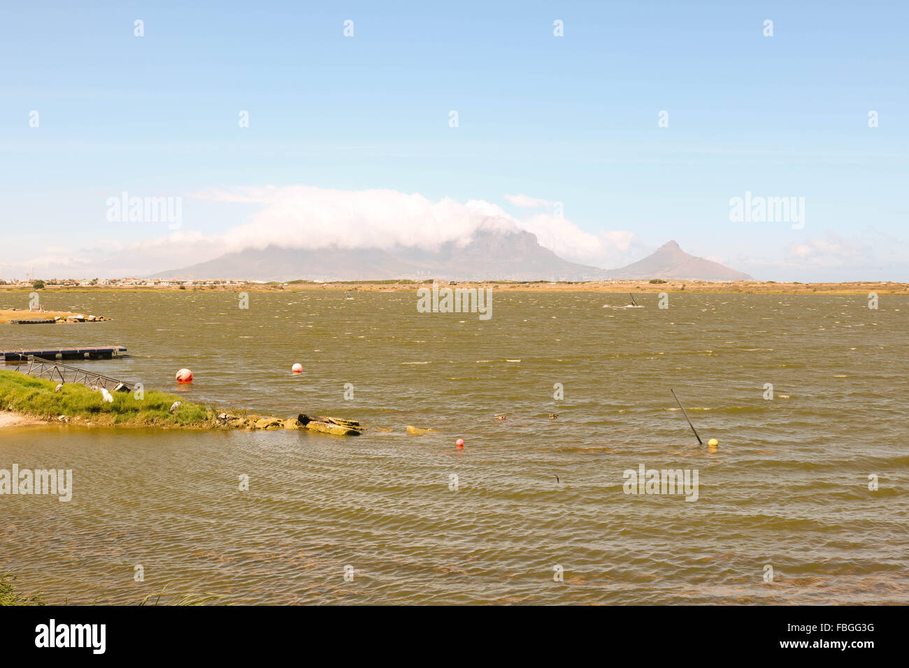 In Rietvlei Table Bay Riserva Naturale con Table Mountain in background, Cape Town, Sud Africa Foto Stock