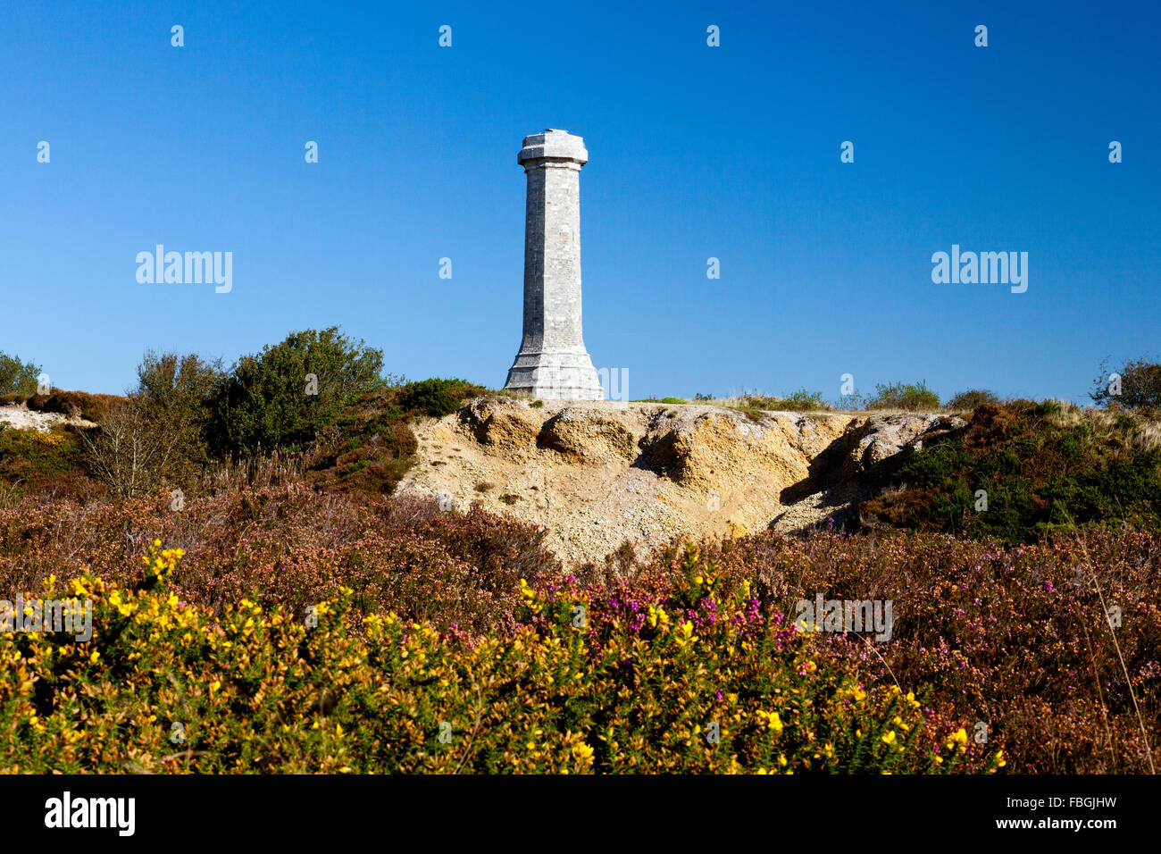 1844 torre sul black Down, Dorset in memoria del vice ammiraglio sir Thomas Masterman Hardy di HMS Victory alla Battaglia di Trafalgar Foto Stock