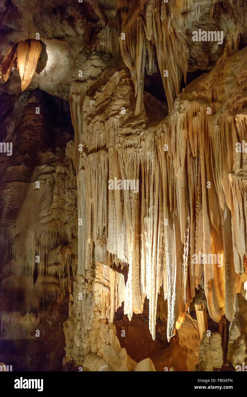 Aven d'Orgnac camere sotterranee e formazioni di cristallo in Ardeche, Francia Foto Stock