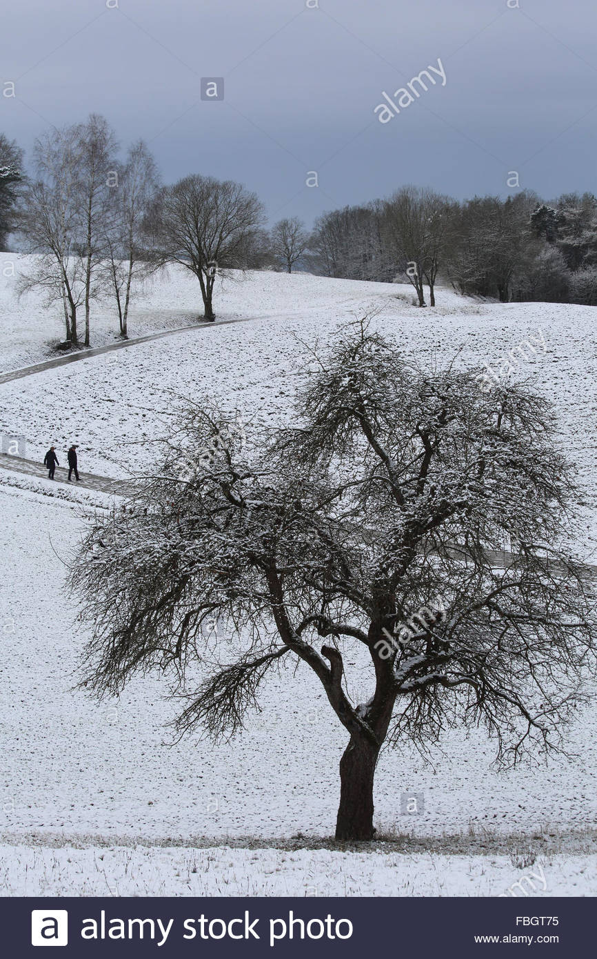 Coburg, Germania. 16 gennaio 2016. La neve è oggi diffusa in Baviera quando l'inverno arriva in tutto lo stato.due escursionisti sulle colline intorno a Coburg, Germania fanno la loro strada in discesa come ulteriore nevicata è previsto con temperature inferiori a meno 15 domani. Credit: Clearpix/Alamy Live News Foto Stock