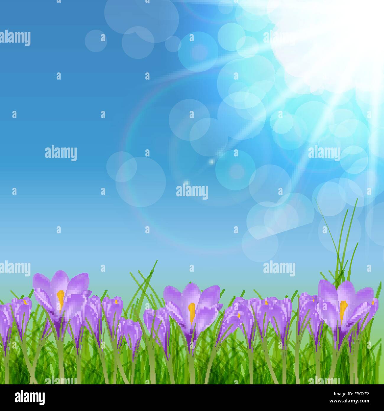 Felice Pasqua Card con crochi illustrazione vettoriale Illustrazione Vettoriale