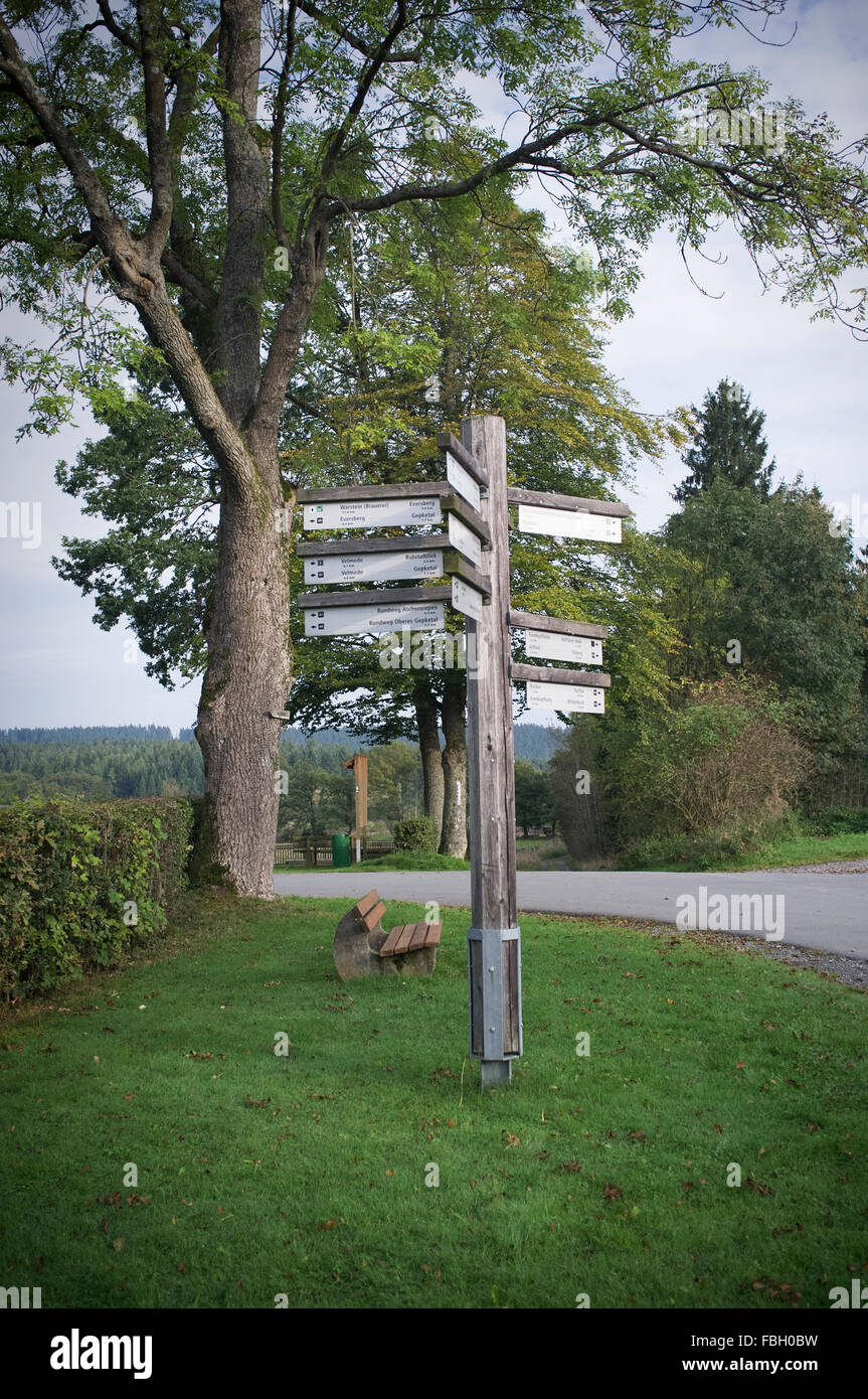 Sauerland Waldroute, Föckinghausen vicino Bestwig Foto Stock