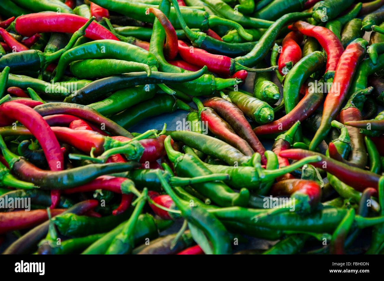Fresco e verde Red Hot Chili Peppers (capsicum) Foto Stock