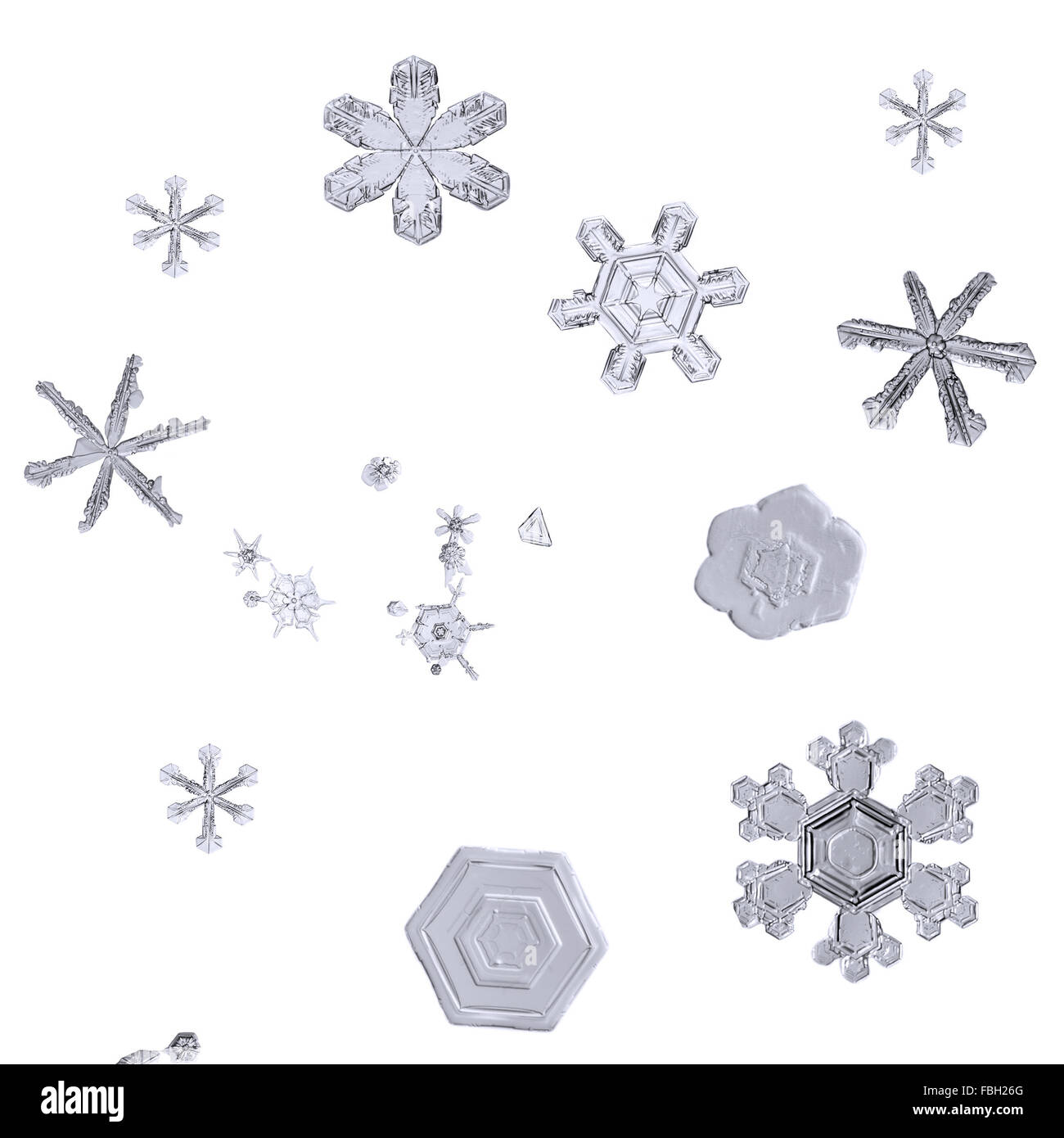 Macro set di fiocchi di neve isolati su sfondo bianco closeup Foto Stock