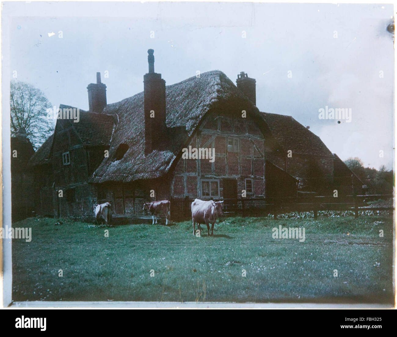 Inizio immagine a colori di cottage con il tetto di paglia, ora identificato come Corhampton, Hampshire. Paget processo a Colori (Immagine completa) Foto Stock