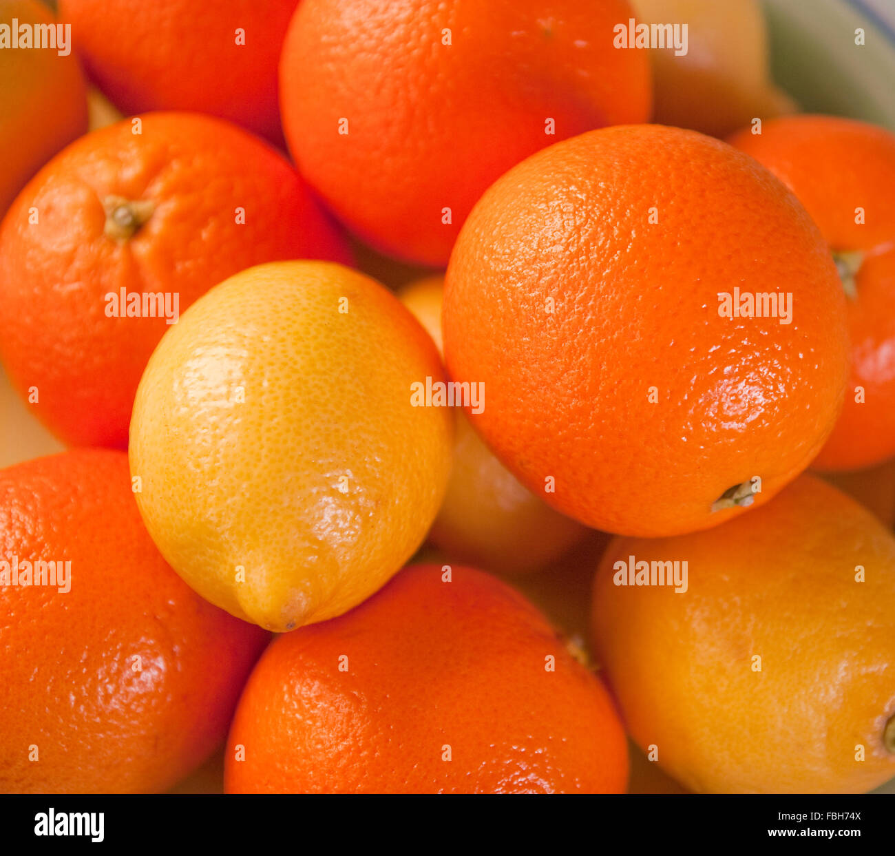 Arance e limoni in un mucchio Foto Stock