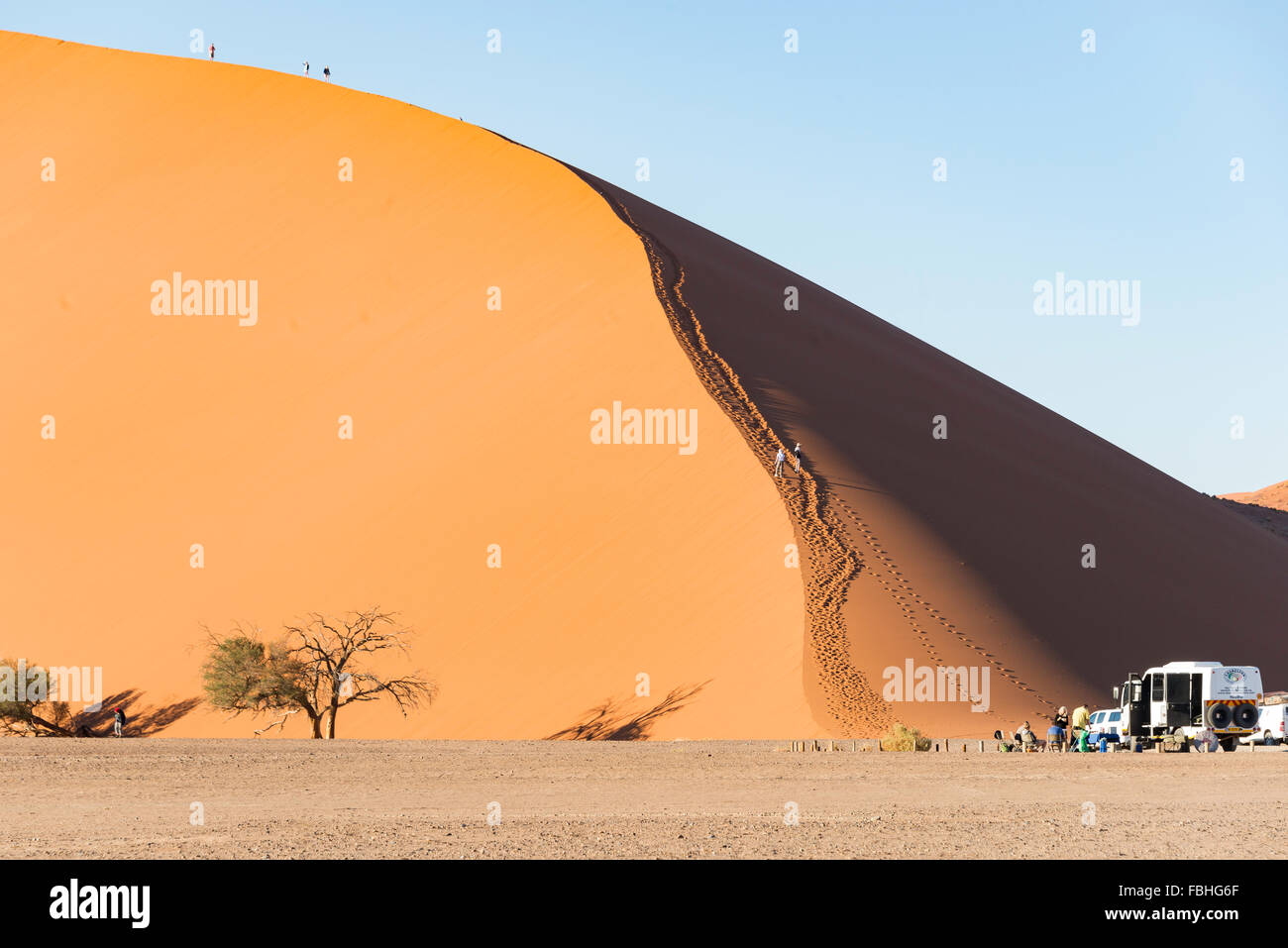 I turisti climbing dune di sabbia, Sossusvlei, Namib Desert, Parco Namib-Naukluft, Regione di Hardap, Repubblica di Namibia Foto Stock