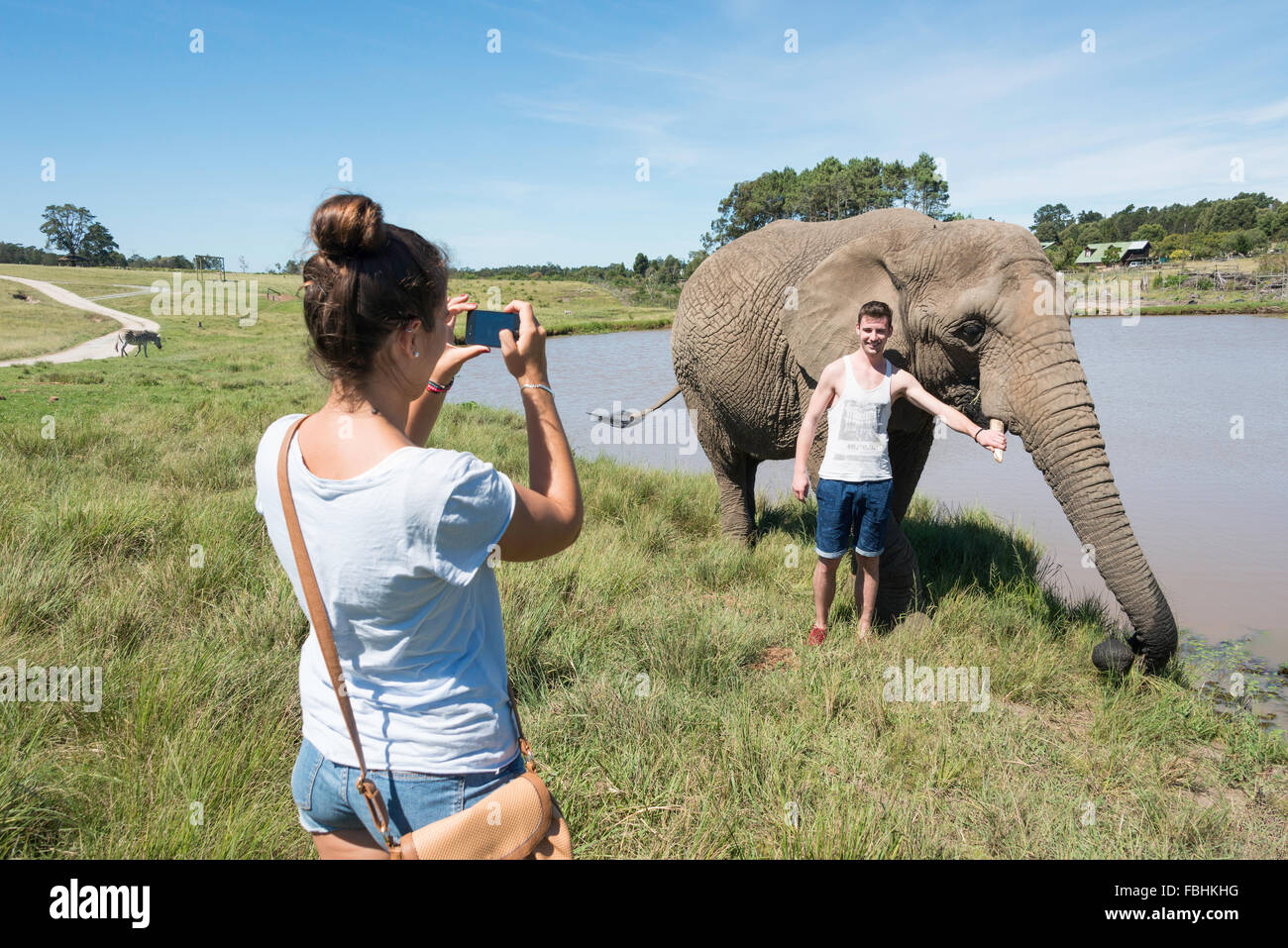 Coppia con elefante a Knysna Elephant Park, Plettenberg Bay, Knysna Knysna Comune, Provincia del Capo Occidentale, Sud Africa Foto Stock
