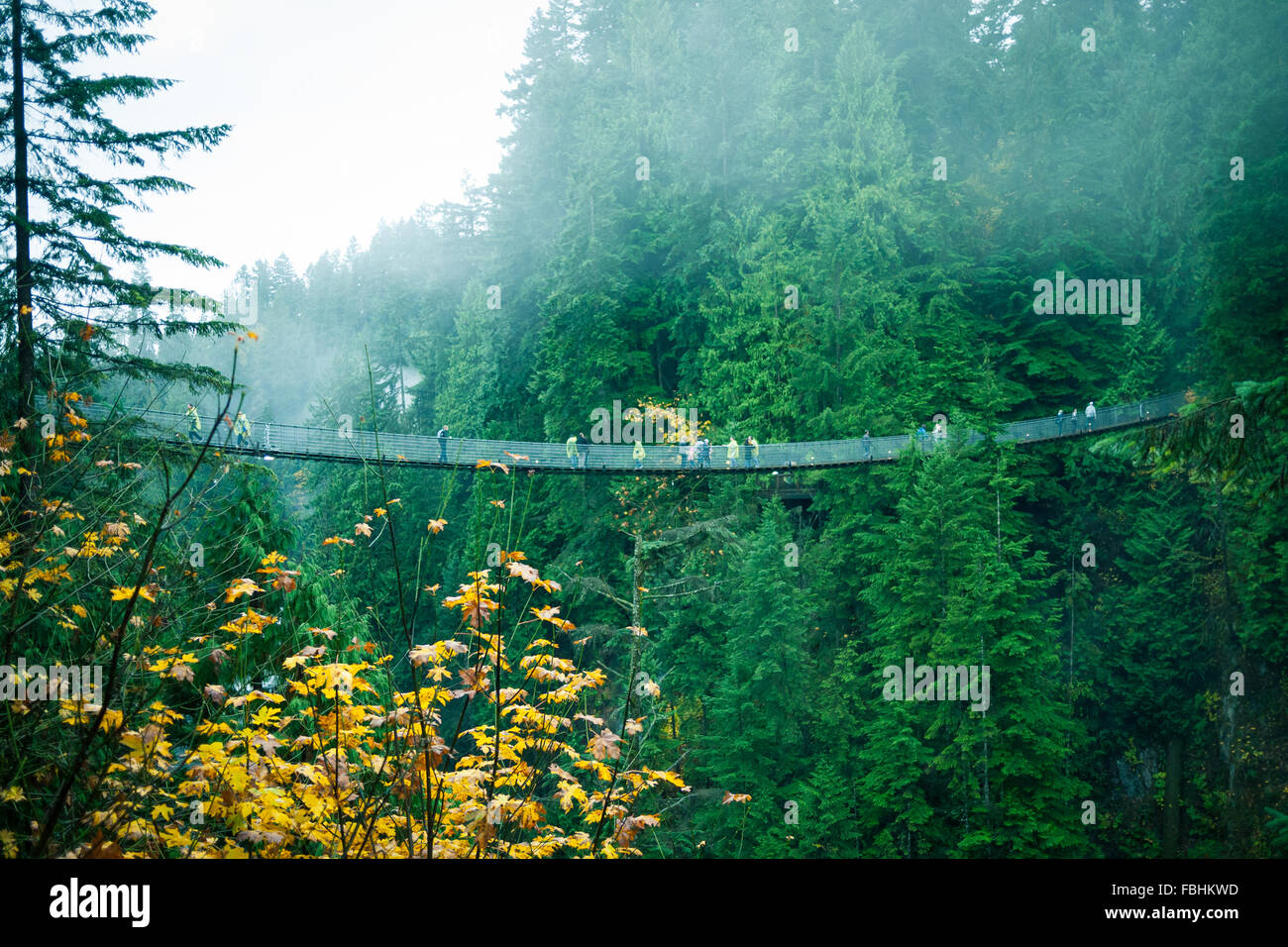 Il Ponte Sospeso di Capilano, una popolare attrazione turistica al Ponte Sospeso di Capilano Park in North Vancouver, Canada. Foto Stock