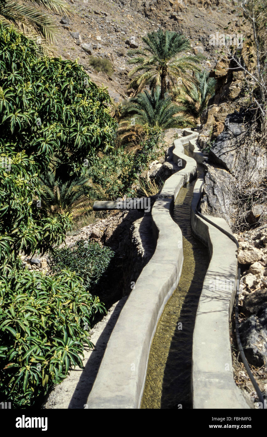 Wadi Bani Kharus, Oman. Canale di irrigazione (Falaj) incanalare acqua per terreni agricoli. Foto Stock